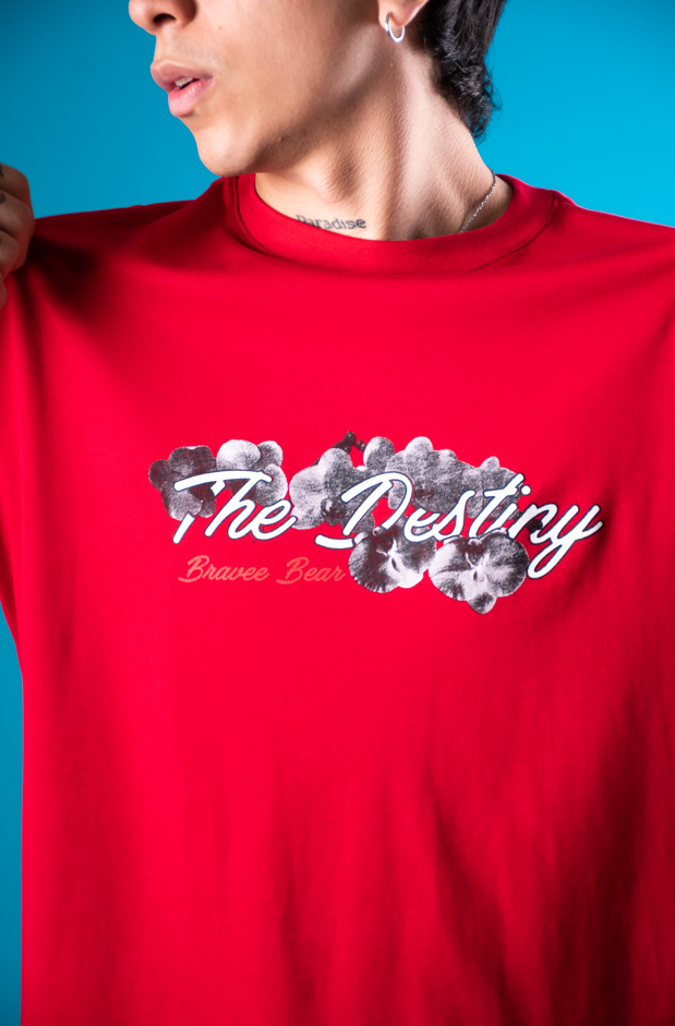 OVER REGULAR - THE DESTINY